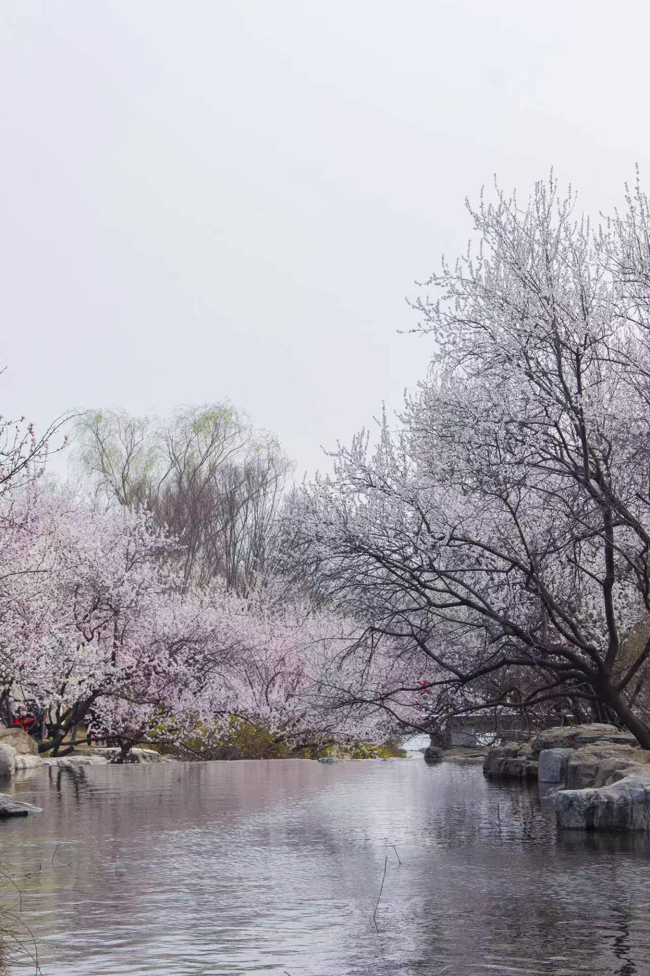 摄影作品 - 风光系列 01