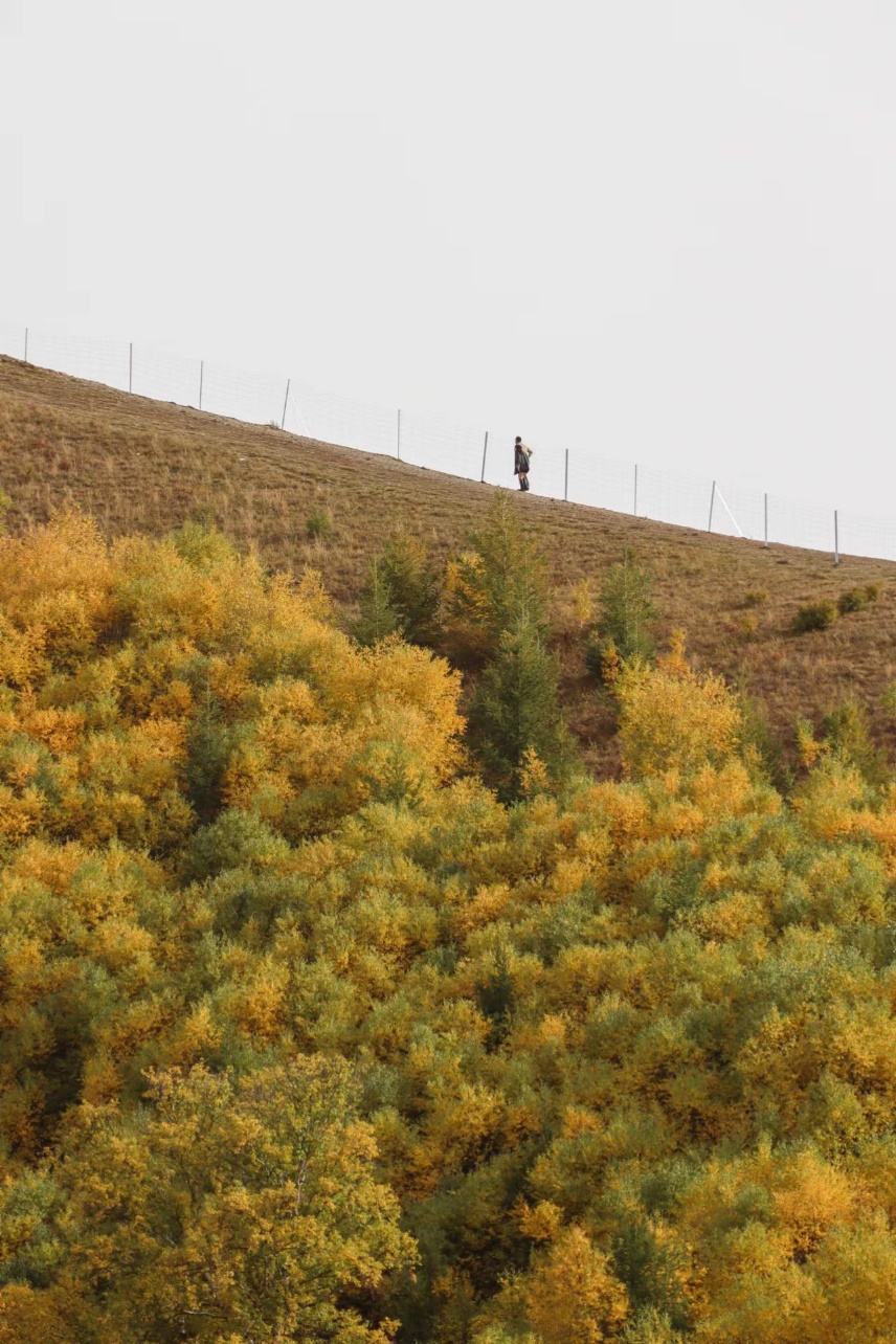 摄影作品 - 风光系列 01